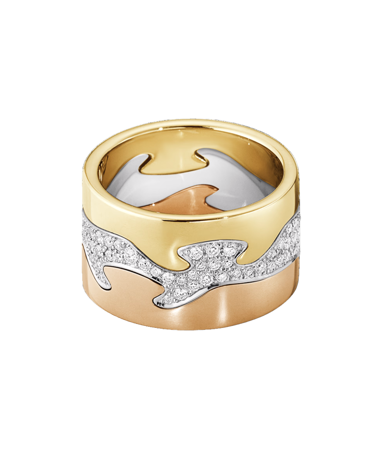 Alternative view of Fusion - 3-Delt Ring