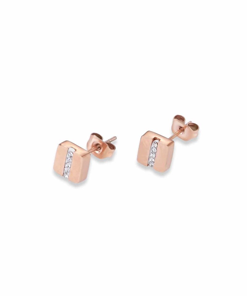 Earrings with stickpin - 022521-1800