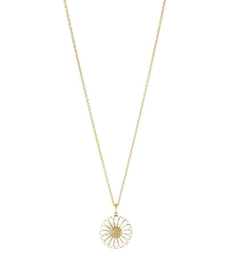 Daisy Halskjede, Stort