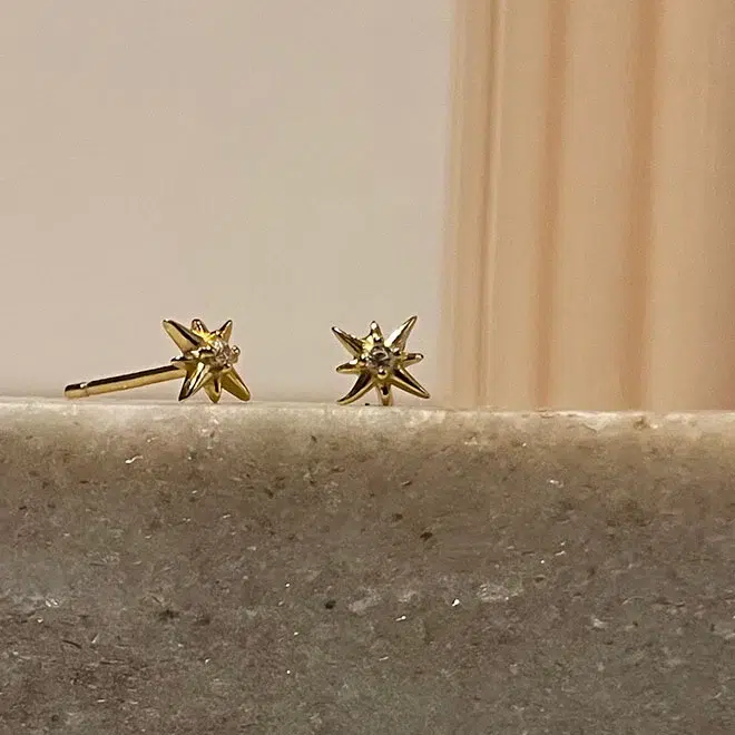 NXT.H Stellar earring with CZ - GP