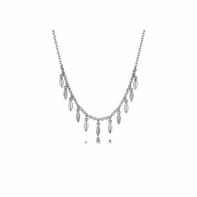 Espeland Collie Vår Cz 925