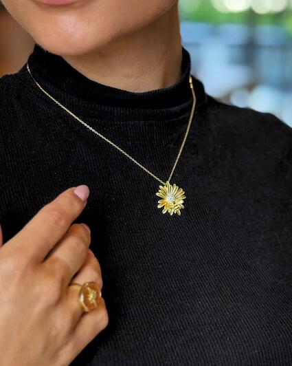 Alternative view of Anheng - Redd en BIE