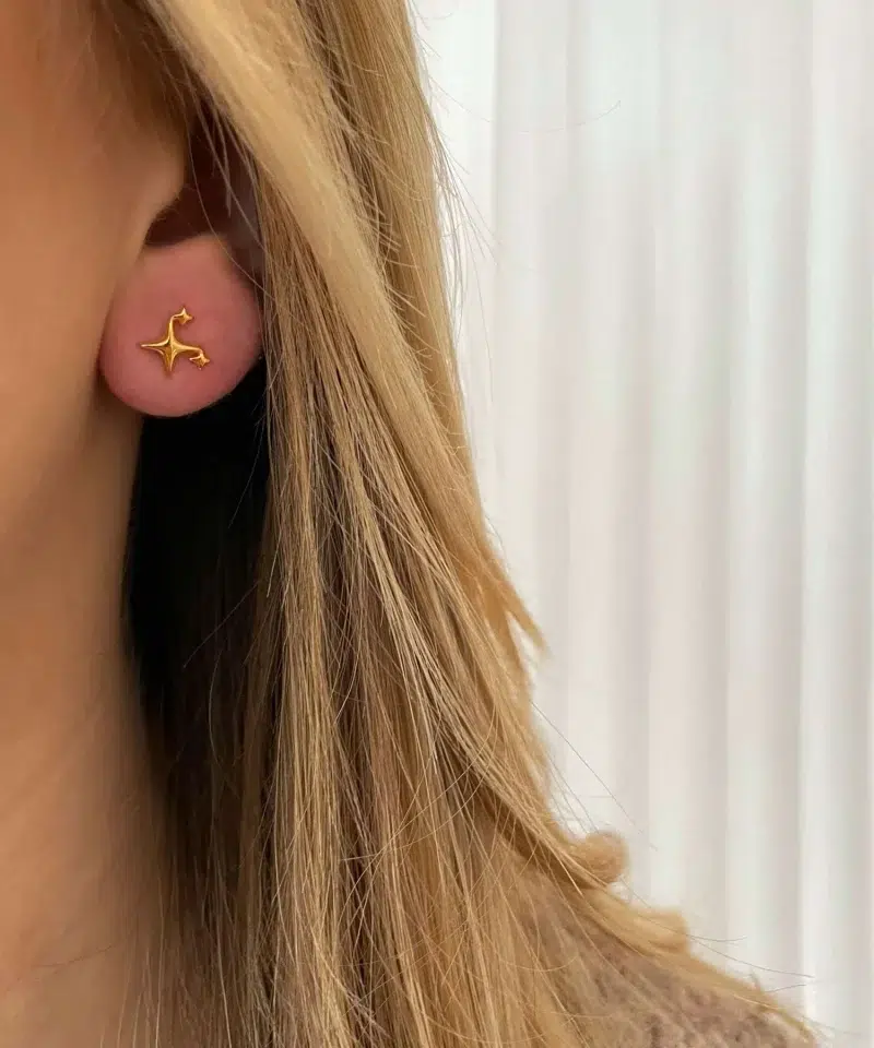 Alternative view of NXT.H Stellar earring - GP