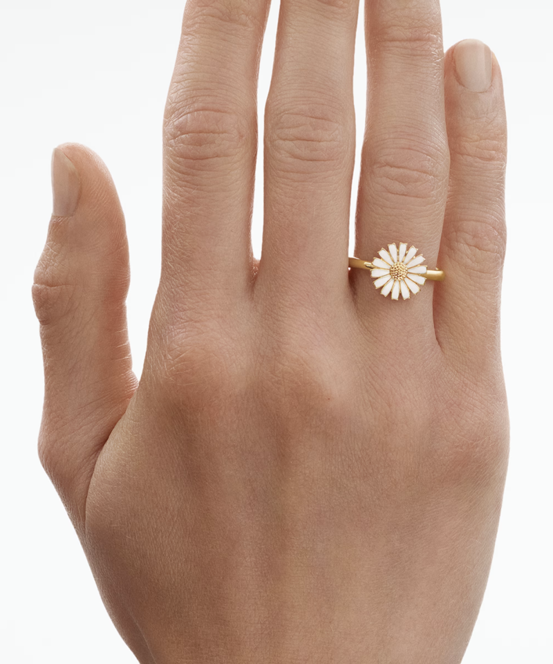 Alternative view of Daisy Ring (54)