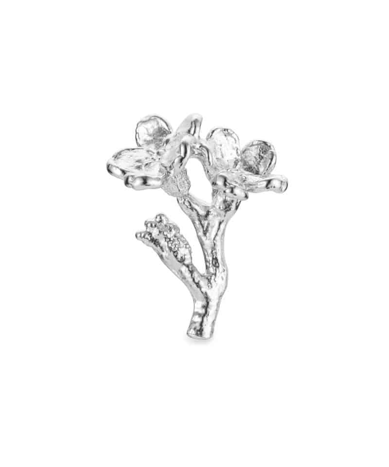 Forglemmigej pin rhodinert