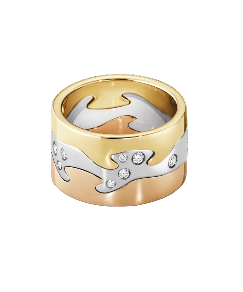 Alternative view of Fusion - 3-Delt Ring