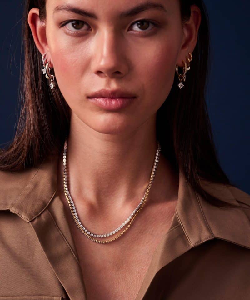 Alternative view of Ellera Grande - Collie