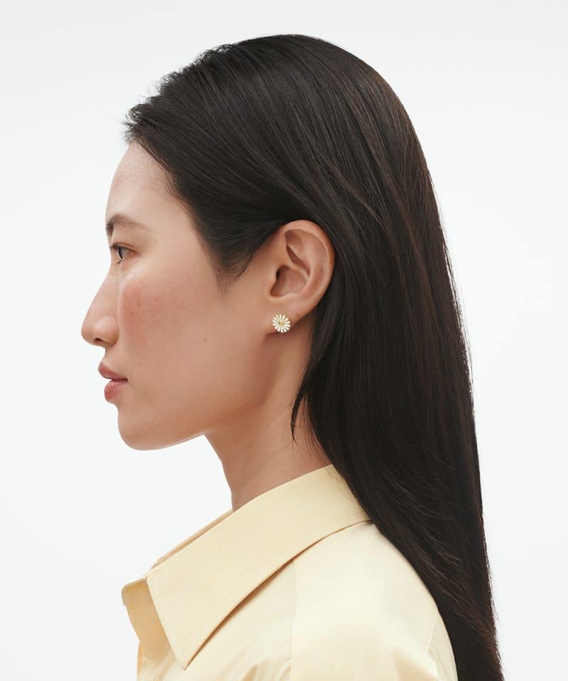 Alternative view of Daisy Ørepynt