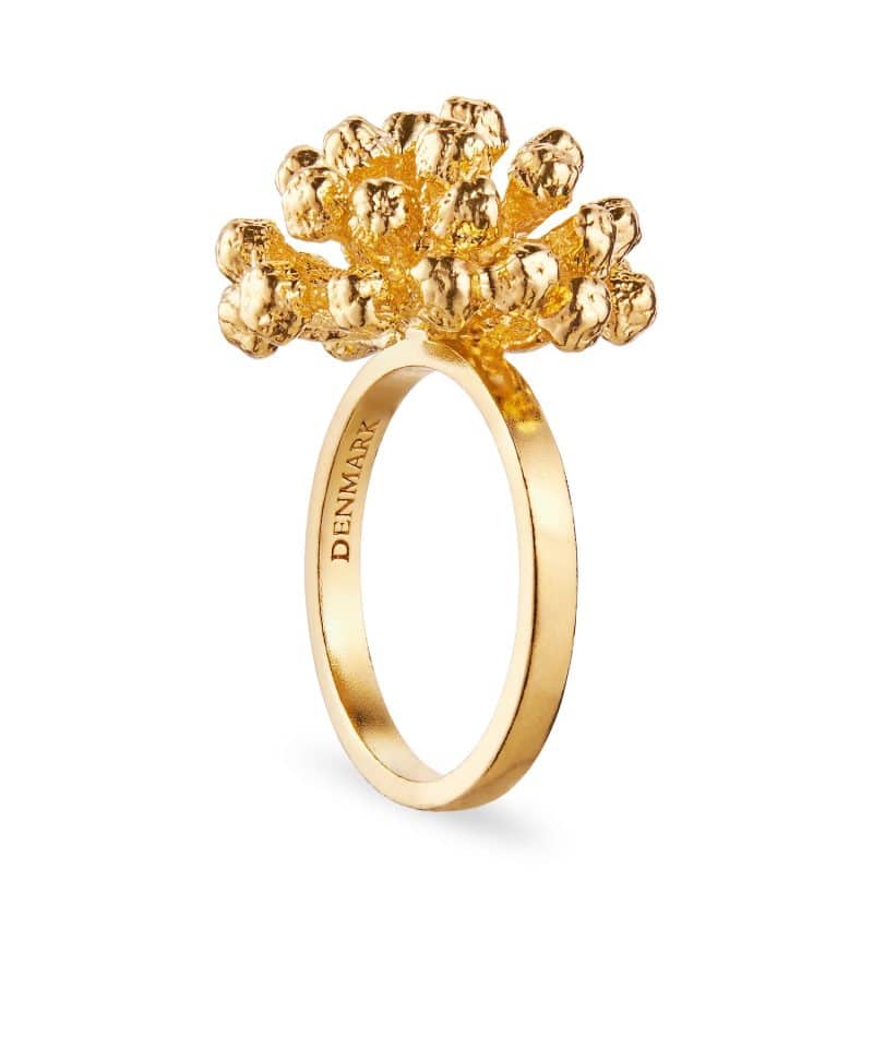 Dild Statement ring forgylt