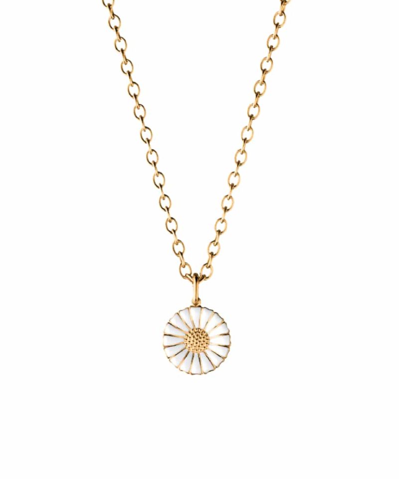 Daisy Halskjede, Stort