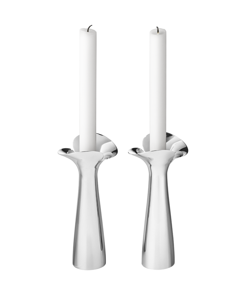 Bloom Botanica Lysestaker